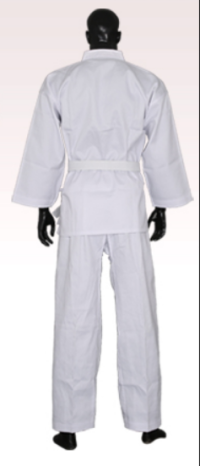 Order professional standard competition karate suit Manufacture child adult karate suit with belt karate suit garment factory 35% cotton 65% polyester karate price  SKF009 detail view-1